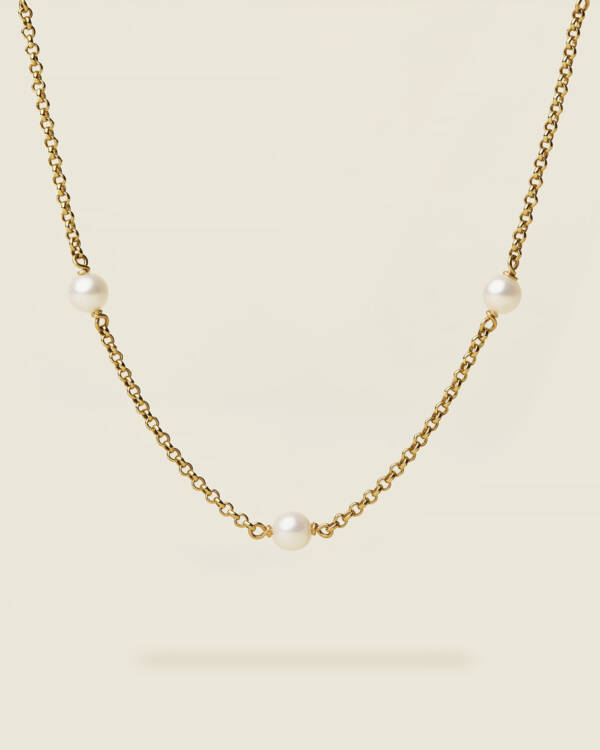 Collar Roda